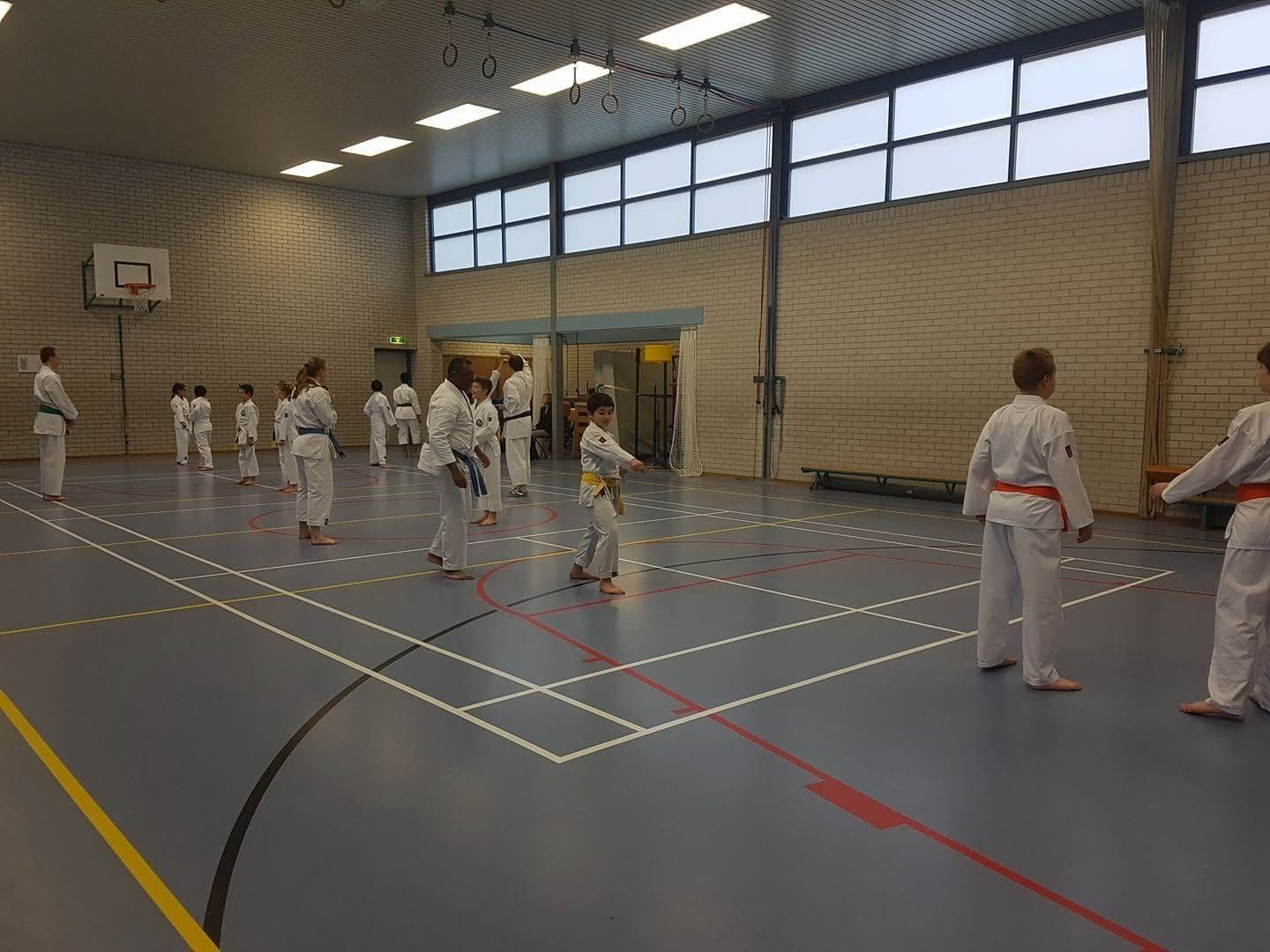 Karateles in de dojo van Tomo no Kai, met jeugd en volwassenen in rijen op de mat
