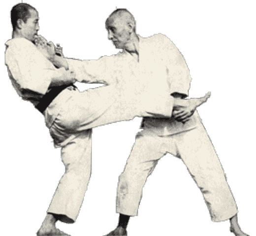 Hanshi Tatsuo Suzuki (links) en grondlegger Hironori Ohtsuka (rechts) demonstreren een wado ontwijk-counter